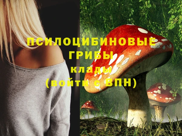 марихуана Анжеро-Судженск