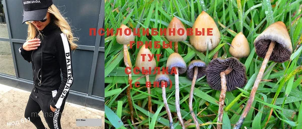 ешки Верея