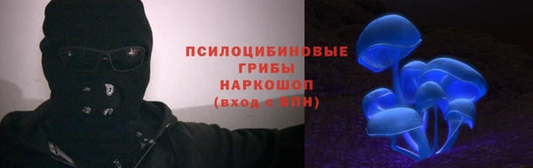 молекула духа Магадан