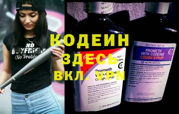 ПСИЛОЦИБИНОВЫЕ ГРИБЫ Медногорск