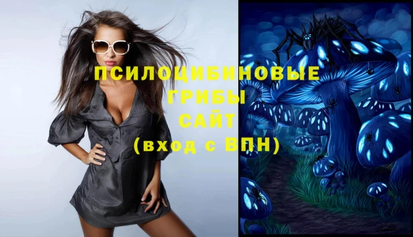 ПСИЛОЦИБИНОВЫЕ ГРИБЫ Верхний Тагил