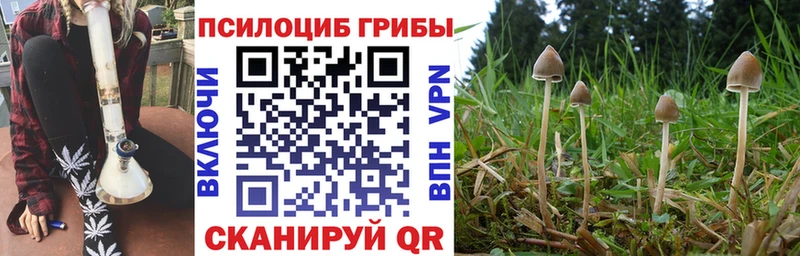 цены   Вичуга  Псилоцибиновые грибы ЛСД 