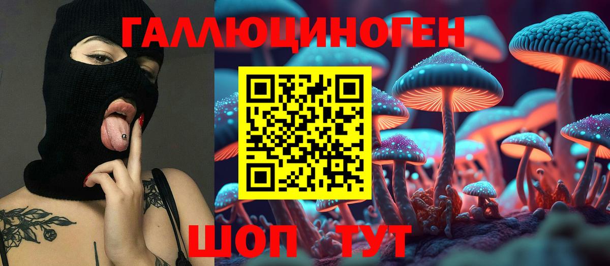 Псилоцибиновые грибы Psilocybe Вичуга