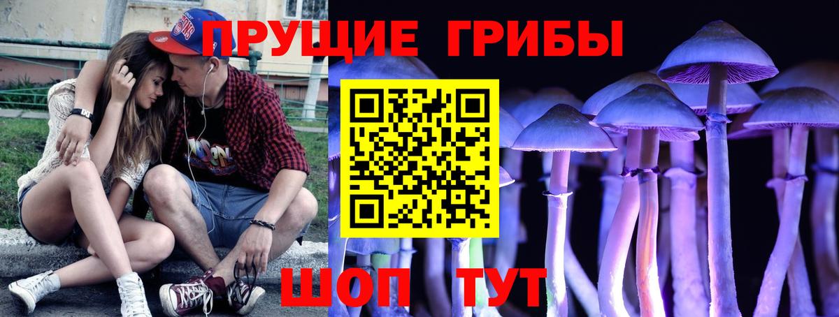 Галлюциногенные грибы Psilocybine cubensis  Вход с VPN  Вичуга  Галлюциногенные грибы Psilocybe 