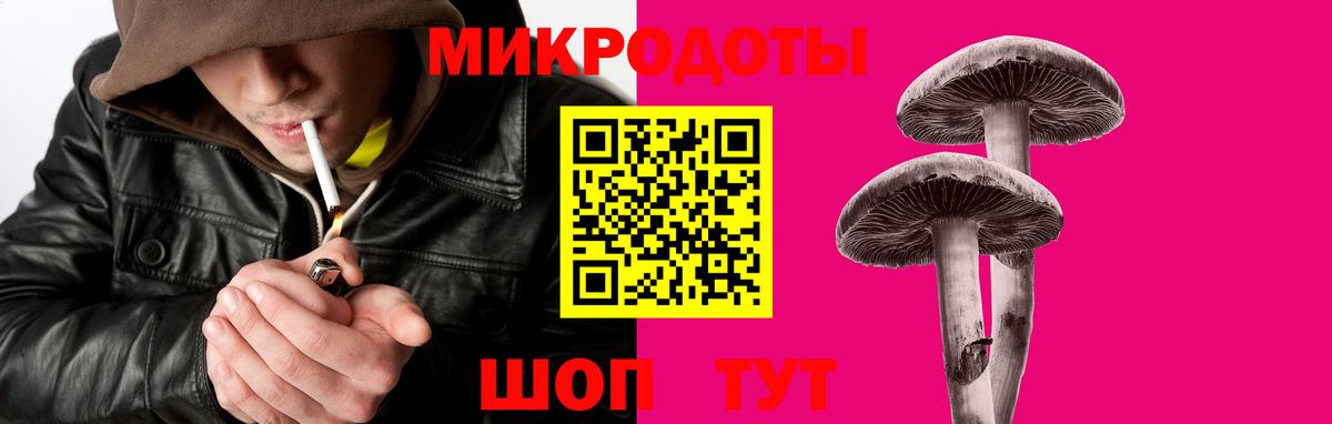 Галлюциногенные грибы Psilocybine cubensis Вичуга