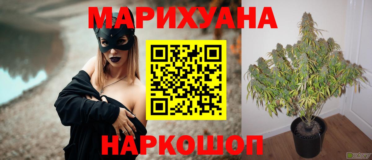 Вичуга  Бошки марихуана SATIVA & INDICA  Конопля AK-47  Конопля SATIVA & INDICA  Вход с VPN  Бошки Шишки гибрид 